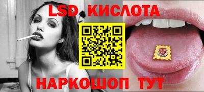 стафф Донской