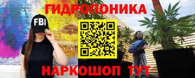 эйфоретик Дубна