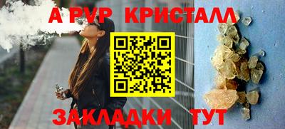 стафф Донской
