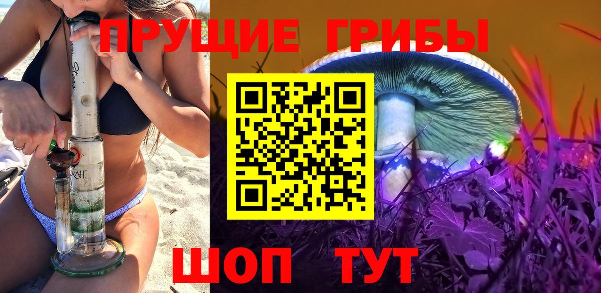 Псилоцибиновые грибы Cubensis Лабинск