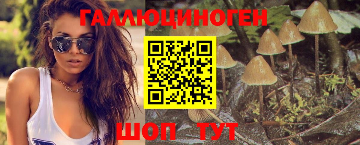 Галлюциногенные грибы MAGIC MUSHROOMS  Вход с VPN  Лабинск 